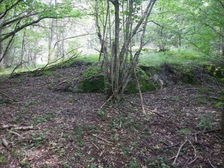 7 (19) Figur 4 Berg i dagen i den nordöstra delen av området där ny bebyggelse planeras. Figur 5 Berg i dagen i den centrala delen av området där ny bebyggelse planeras. 4.2 Jordlagerföljd och jordens egenskaper Utförda trycksonderingar har stoppat på djup mellan ca 1-28 m.