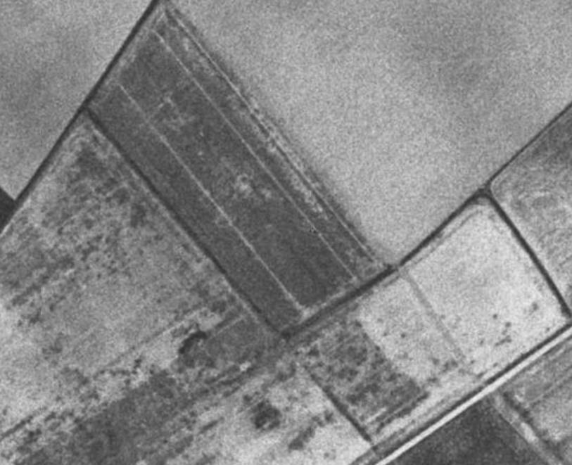 Urklipp från Infokartan Länsstyrelsen Västra Götaland. Undersökningsområdet är rödmarkerat. Enligt historisk flygfoto över undersökningsområdet var det åkermark där tidigare.