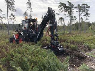 om vi går tillbaka till bronsåldern, bildade ett näs ut i Östersjön, medan större delen av fastigheten är förhållandevis låg.