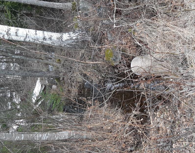 Instängt lågpunktsområde i norra delen av område 1 är det inringade området till vänster.