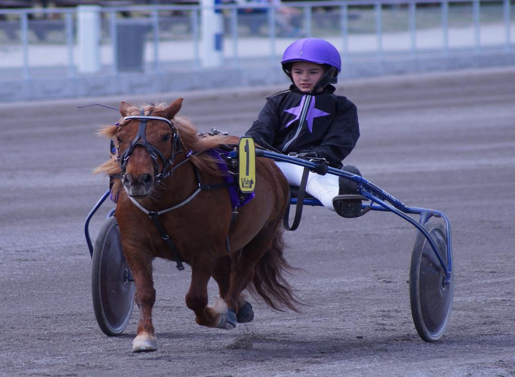 Ljusblå Kvallopp Kat. A Alla, körda av A-B- eller C- licensinnehavare. 20 m. Voltstart. Prispoäng: 0-0-0-0-0-(0). 7.20 LITCHI 20: 0 3,sv. s.