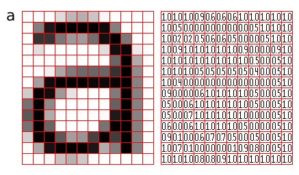 Den digitala bilden l Signal från