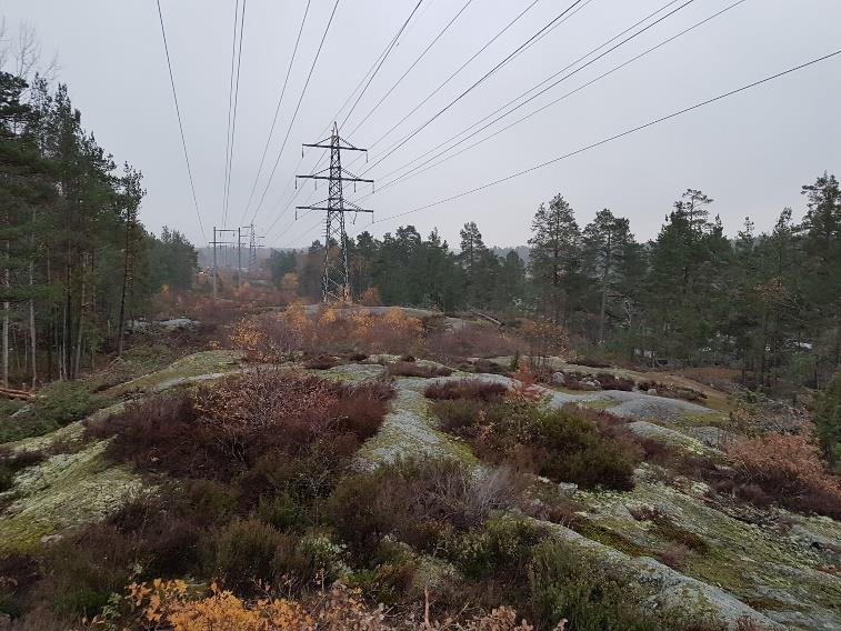 INFÖR DETALJPLANER KRING