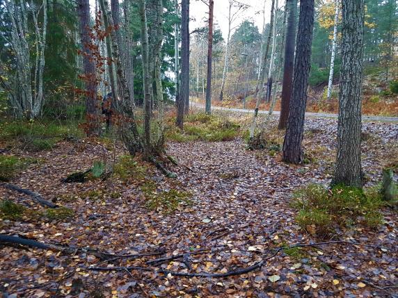 Naturvärdesobjekt 4 Objekt-ID Kraftledningsstråket 4 Inventeringsdatum 2018-11-06 Biotoper Tallskog Naturtyper Skog och träd Naturvärdesklass 4 Inventerare Ola Hammarström, Fredrik Larsson & Tomas
