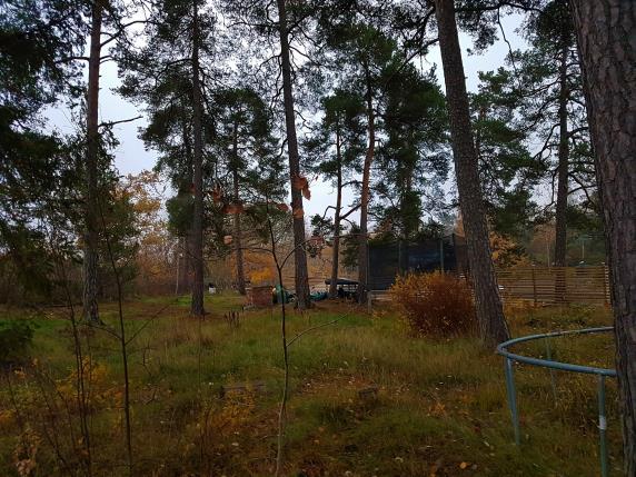 Naturvärdesobjekt 6 Objekt-ID Kraftledningsstråket 6 Inventeringsdatum 2018-11-06 Biotoper Barrträd Naturtyper Skog och träd Naturvärdesklass 4 Inventerare Ola Hammarström, Fredrik Larsson & Tomas
