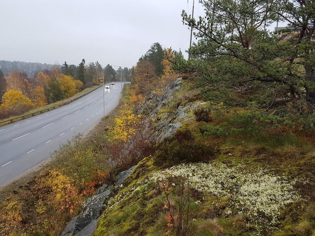 Rapportering Rapporteringen följer standarden och för detaljer hänvisas till standarddokumenten.