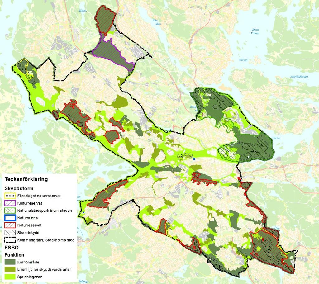 5.2 Naturskydd Area skyddad naturmark (hektar) 1890 4016 4137 1997 2007 2018 Årstaskogen-Årsta holmar Rågsveds naturreservat Älvsjöskogen Flaten Nackareservatet i Stockholm Sätraskogen Igelbäcken