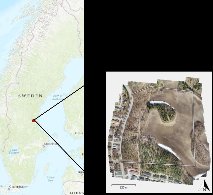 3 Material & metod 3.1 Områdesbeskrivning Området på ca 14 ha (figur 1) som ingår i studien ligger i området Ren i nordöstra delen av Bollnäs, Gävleborgs Län.
