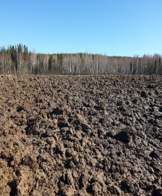 a b 3.2 Utrustning och mjukvaror Figur 2. (a) Åkermark. (b) Snö på åkermarken. I tabell 1 och 2 presenteras utrustning och mjukvaror som har använts under studien.