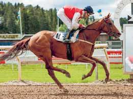 TIPS & RANK Lopp - V- Fajry Monkey Bar Flies Mykonos Mister Admiral Ronaldo Pepper The Wicked Lord 8 Catmandu USA-födde Fajry är ett spännande nyförvärv med goda meriter ifrån sitt tidigare hemland
