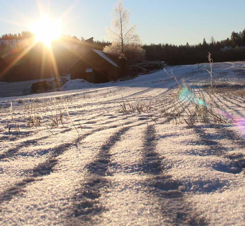 LEVERANSORTER FÖR JORDBRUKSKALK I FINLAND BRAHESTAD KARLEBY VIMPELI SIIKAIS