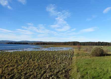 NATUREN Naturen är en av Orsa kommuns stora tillgångar. Här finns både myrmarker, opåverkade skogar, odlingslandskap, åar och älvar samt geologiskt intressanta platser.
