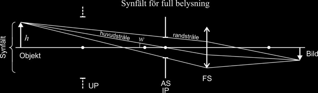 Optik 1 76 Andra definitioner av synfält (överkurs) Figurerna på i detta avsnitt visar två andra definitioner av synfält.