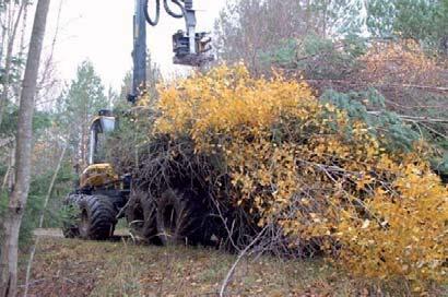 Figur 3. Skotning av skogsbränsle vid vägkantsklippning. Ackumulering Antal avverkade träd per krancykel varierade var 3,59 träd per krancykel.