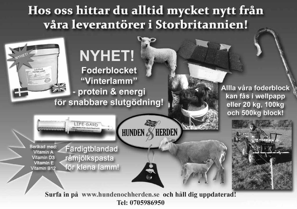 Vill ni bo hos oss den 11 september finns vi centralt i Linköping, boka vårt Lammpaket så ingår det en Eriksbergs starköl per person. Pris från 745kr (enkelrum).