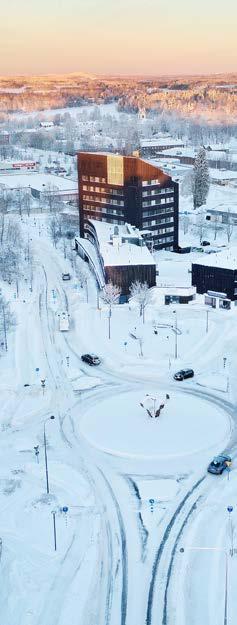 VERKSAMHETSBERÄTTELSE VERKSAMHETSBERÄTTELSE ett antal kollegiala möten skapats under höstterminen utifrån förevisningar på Lärstämman.