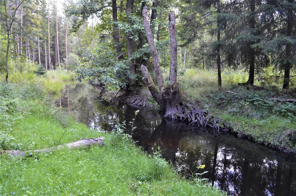 Försäljningsförutsättningar Förfarande Fastigheten säljs via anbud som ska vara mäklaren tillhanda senast 2019-09-26. Märk anbudet Älghult 3:3, till detta skall bankreferens eller motsvarande lämnas.