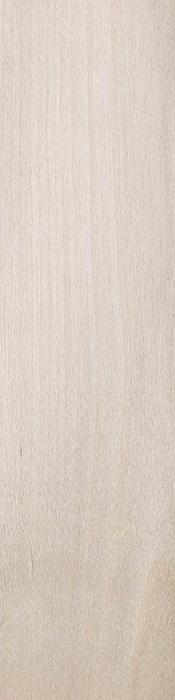 TRÄ / WOOD / HOLZ Björk / Birch / Birke Ask / Ash / Asche Bok / Beech / Buche Ele / Oak