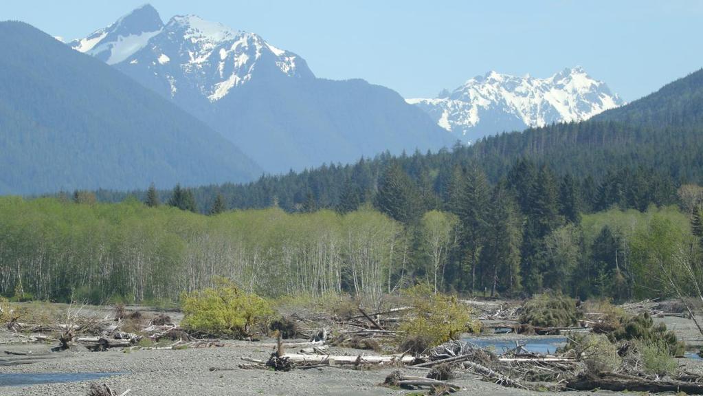 Washington