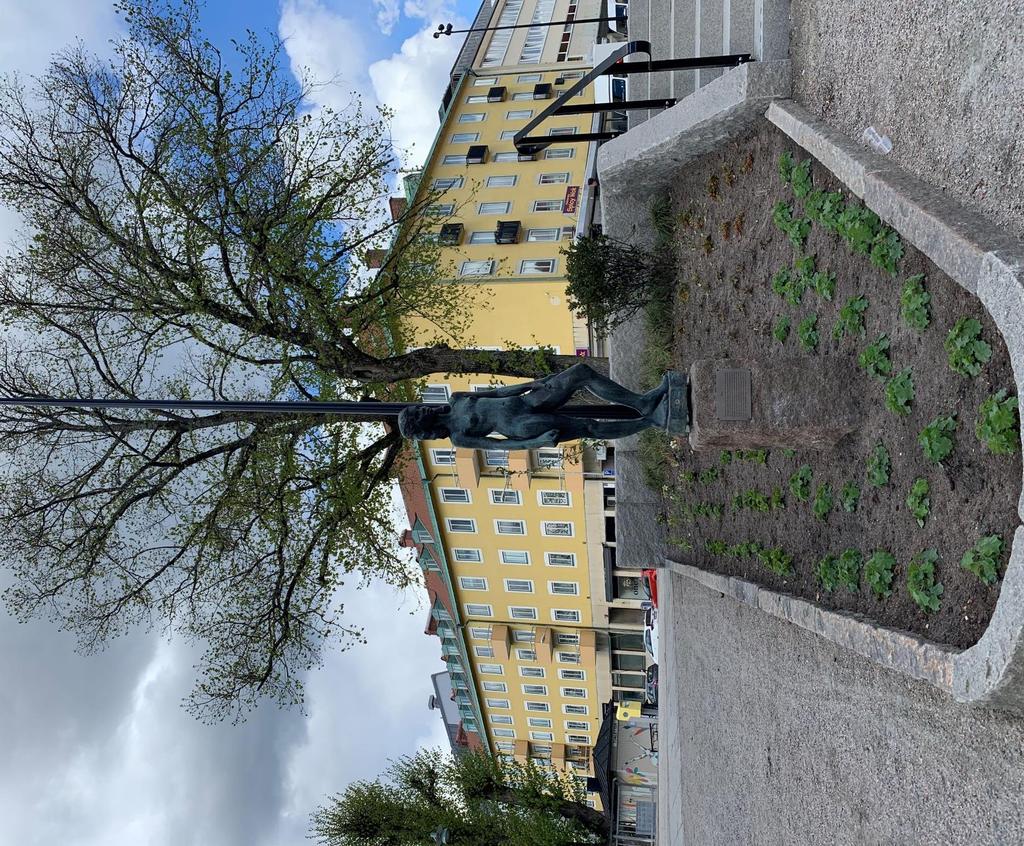 stadens äldsta parkmiljö Belysning och trygghet, tillgänglighet.