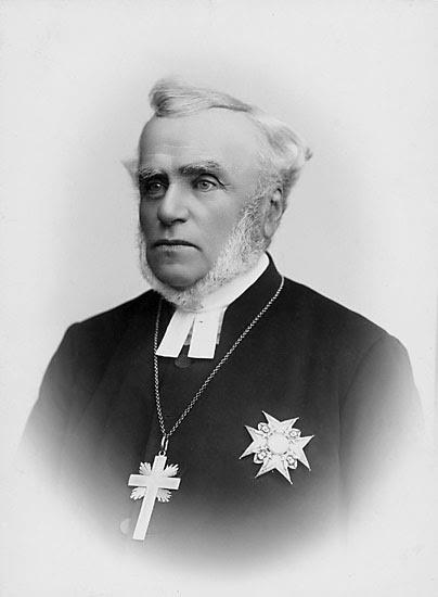 Anton Niklas