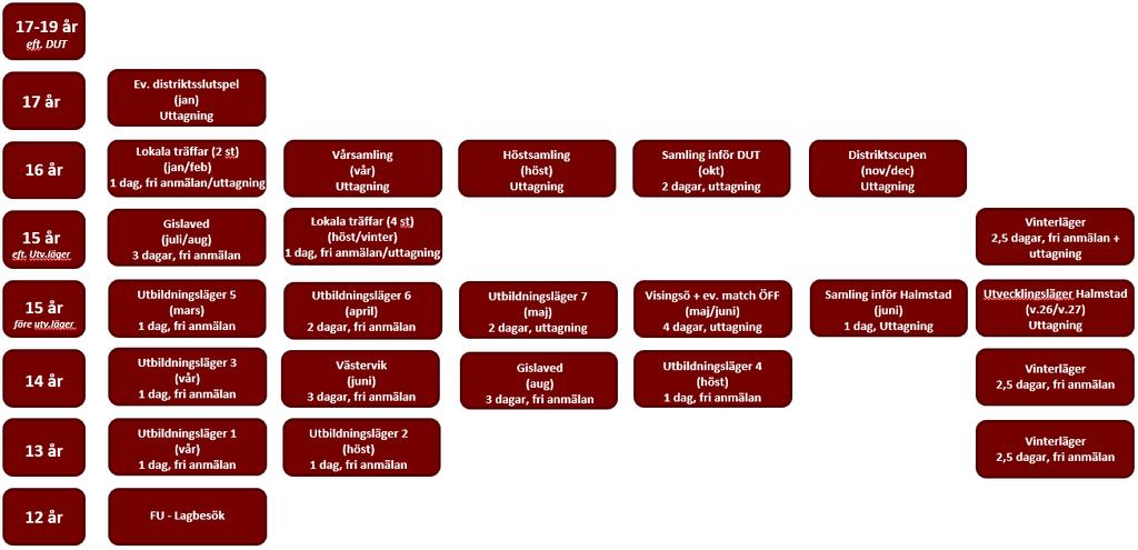 Småland FF:s spelarutbildning Syfte Utbilda spelare i svensk fotbolls spelarutbilningsplan. Spelarutbildningen ska vara tillgänglig för alla spelare i Småland som vill i åldrarna 13-19 år.