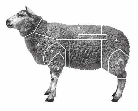 Texel har högst tillväxt och ger bäst slaktkropp av alla fårraser i Sverige. Styckdetaljerna har djupa kotletter, stor innerfilé, stora stekar och välfyllda bogar.