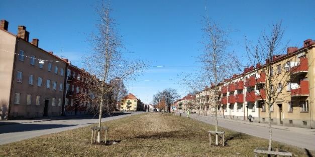 Vy längs Ringgatan söderut.