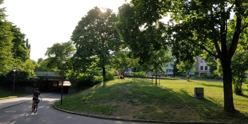 Karls Allé i både ambulanser och polisbilar. Det kan vara en anledning till varför en större andel personer med högre medelinkomst har flyttat till Öster istället för centrala Väster.