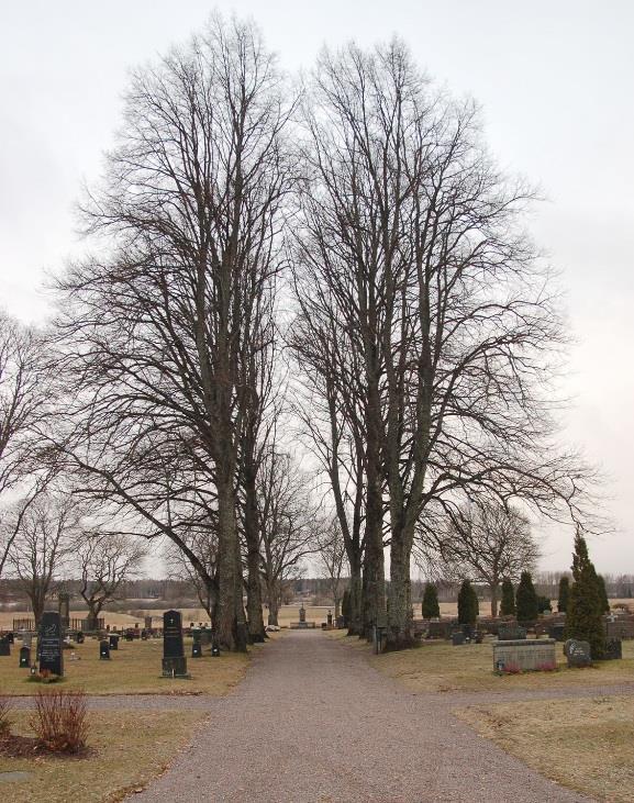 Runt den nytillkomna östra delen byggdes ett staket mellan murade stolpar.