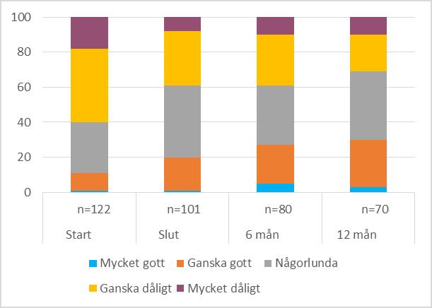 Andelen som skattade sin hälsa så minskade till 40 % efter avslutad intervention och vid 12-månadersuppföljning var andelen ytterligare något lägre (31 %) (figur 13).