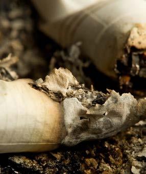 Tobak odlas med enorma mängder bekämpningsmedel. Dessutom används på flera håll bekämpningsmedel som är totalförbjudna i västvärlden.