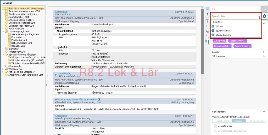 Globala/Gemensamma filter I journalen är det möjligt att använda globala filter, så som tidigare. Det går även att skapa personliga filter utifrån en filtrering.