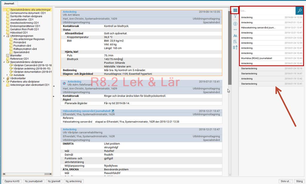 Ändrad journalvy När journalen öppnas presenteras alla anteckningshuvuden i översiktspanelen.