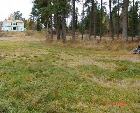 5 65 PLANFÖRSLAG Bebyggelse Området är idag delvis exploaterat, bebyggelse finns längs med stranden från ett grönområde norr om Europaväg 45 (E45) upp mot planområdet.