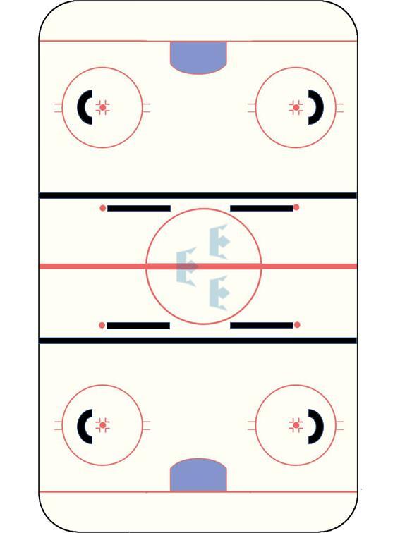 NORRBOTTENS ISHOCKEYFÖRBUND Sida 8 (15)