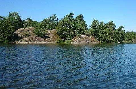 Sammantaget noterades hela 22 arter av vattenvegetation, undantaget övervattenvegetation (Tabell 2).