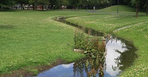 Avledning av dagvatten via gatan vi höga flöden Försänkt gata med hög gatsten för avledning av