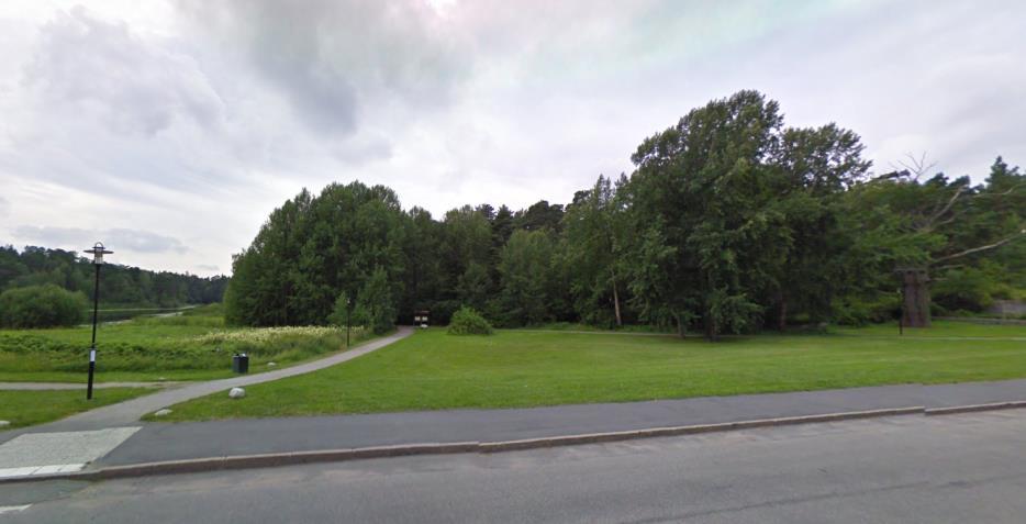 Figur 26 Bild på nuläge, gräsytan samt den mer täta växtligheten till vänster närmare sjön.