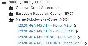 Avtal KIs avtal med Kommissionen Kommissionen sätter upp kontraktet. Model Grant Agreement för repektive projekttyp finns på https://ec.europa.