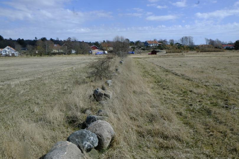 Biotopskydd med beteckningen 1 på kartan,