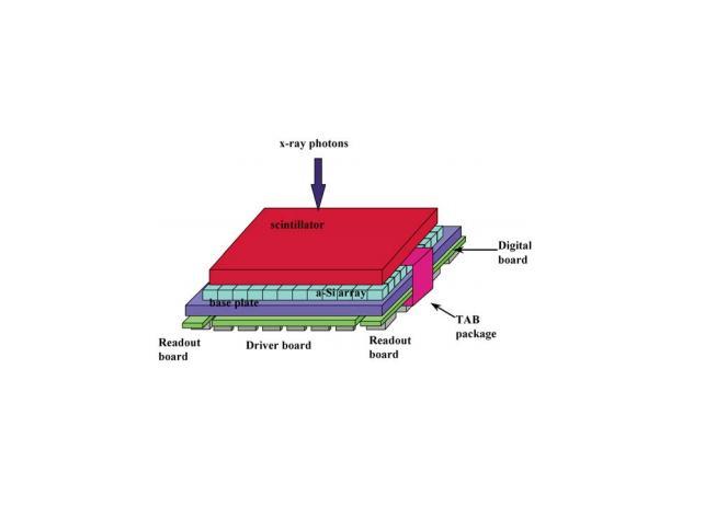 8: shows the cross sectional and