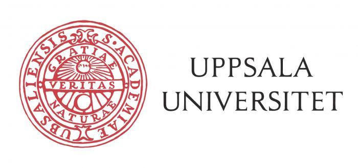 Internationalisering och finansiell prestation En studie över sambandet mellan internationaliseringsgrad och finansiell prestation i