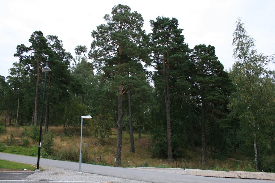 Inom fastigheten Signalen 1 är det i dagsläget svårt att passera som fotgängare eller cyklist.