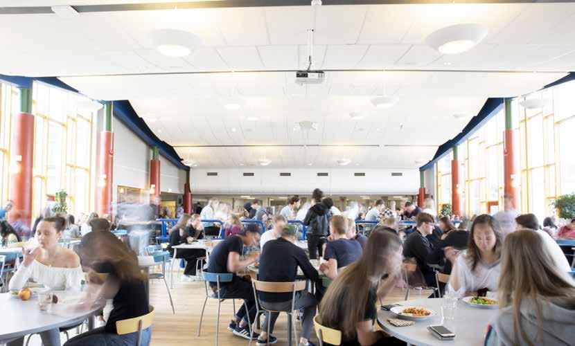 ELEVHÄLSAN DU SKA MÅ BRA! Elevhälsan består av skolsköterska, skolkurator och skolläkare.