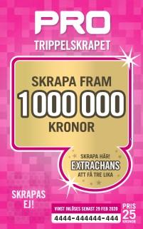 Viktigt! PRO Skånenytt innehåller information till förtroendevalda och medlemmar. Glöm inte bort att förmedla denna information till berörda grupper! Du kan också gå in på www.pro.