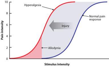 Det kan triggas genom ofullständig läkning av vissa vävnader, som ligament, ledkapslar och brosk. Det beror också på andra faktorer, som ännu inte är helt förstådda.