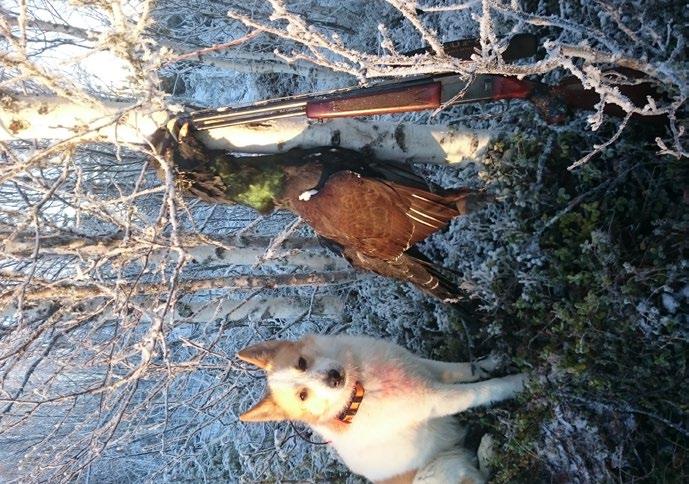 Alla lika förväntansfulla och nyfikna på den nya domaren som för första gången besökte SSF Medelpad. Det visade sig att Anna Fors Ward var av samma hårda virke som våra trogna ringsekreterare.