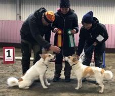 NEDRE NORRBOTTEN 22 KM Jaktprov Guri Malla s Nob Bira) Klubbmästare Jaktprov & Skallkungsvinnare Guri Malla s Nob Bira 87p med ägare Mats Andersson mottar pris av Sekreterare Catharina Lundberg.