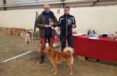 ÖVRE ÖVRE NORRBOTTEN Vinnare av Vandringspriset 2018, Anders Gramner Klubbmästare 2018 Roger Heikki och 2:an Per Erik Karlsson ÖVRE ÖVRE NORRBOTTEN HP Uppfödarklass Nautasvardos Kennel, Kid Benny